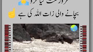 Allah is Great ????