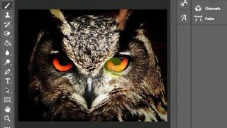 How To Red Eyes Owl In Photoshop #shorts