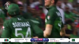 Shaheen Shah afridi