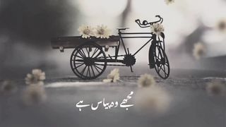 True words very deep lines