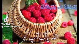 Good Morning, ????????