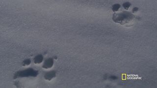 Mountains (Full Episode) - Hostile Planet.