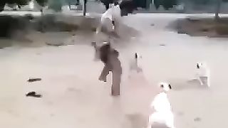 بیچارے نے بس اتنا ھی پوچھا تھا کہ کب واپس آ رھا ھے