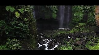 Meditation and mind relaxing video