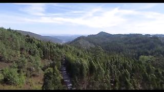 Meditation and mind relaxing video