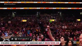 Roman vs Brock