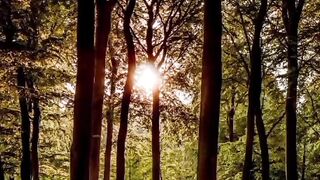 Quran Beautiful Recitation |short clip