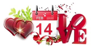 Valentine's Day is celebrated on 14 February every year
