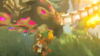 THE LEGEND OF ZELDA ｜ GAMEPLAY MOMENTS ｜ NINTENDO ｜ SHORTS