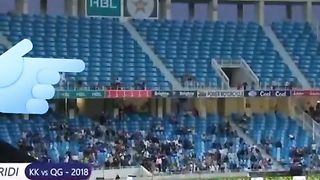 HBL PSL 8