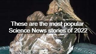These are the most popular Science News stories of 2022 | Sci-Tech News |
