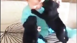 Funny animals