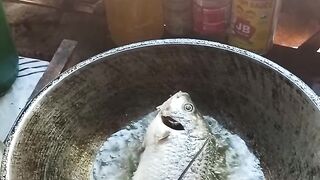 My Bamboo shoot With Tilapia Fish