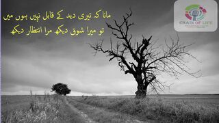 Best Poetry for Wait || Urdu Poetry || Chan Of Life