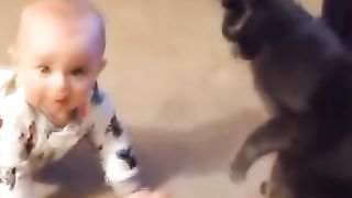Cute baby playing with animals