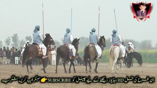 #horses#riding#vedio#horses of runing