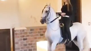 Dancing horses