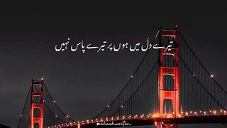 Shairy