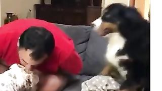 Animals cute shorts/jealous pets funny videos compilation_ Must watch compilation 2023