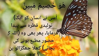 Quran Ayat tarjuma