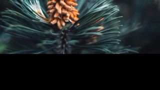#lightroom #tutorial #naturephotography #photoeditingtutorial #Chromakeyvfx