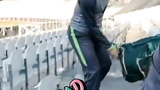 Cricket fun