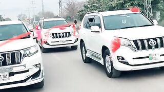 Toyota gang Prado