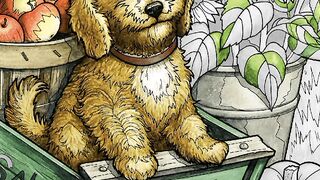 Dog lovers #shorts # viral shorts