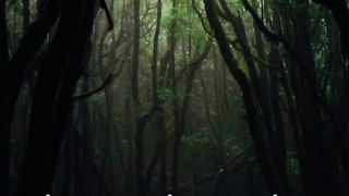 Surah short clip