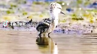 Cute baby.