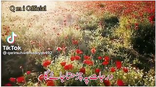 Hafiz Quran ki Shan