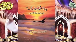 Support to TLP