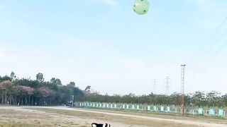 Funny Playing