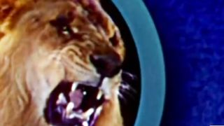 Tom & Jerry  Trap Happy   Classic Cartoon Compilation
