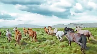Relaxing Instrumental Music amazing Video