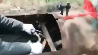 Very Funny Car