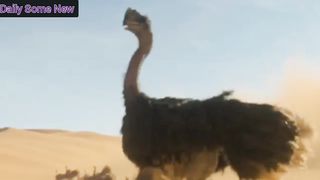 Amazing Attacks