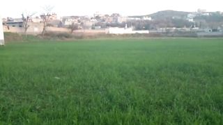 Feel Fit With Nature