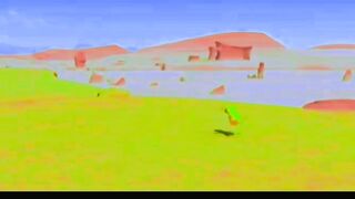 Birds cartoon videos