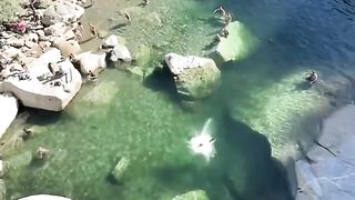 Amazing Diving