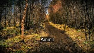 Relax and Recharge: Ammil Meditation Music for Inner Peace and Tranquility