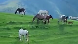 Beautiful nature