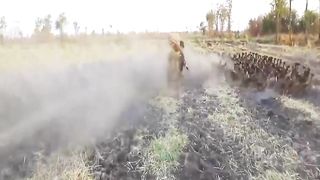 Men catch more duck