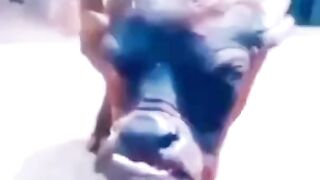 Funny video