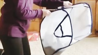 Funny cat