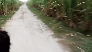 Kacha nashai