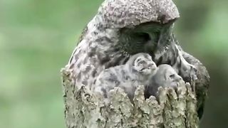 Beautiful