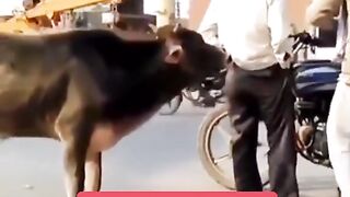 Funny Very Funny