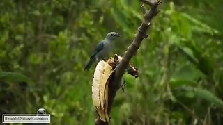 Relaxing Sleep Music • Meditation Music • Deep Sleeping Music, Relaxing Music, Stress Relief,