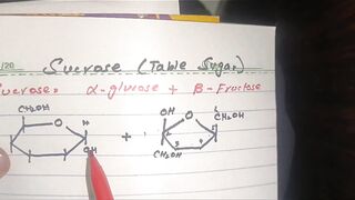 Glycosidic bond in sucrose|biochemistry